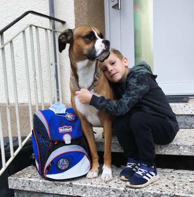 Lias und sein Hund Luka haben ihre 'Ausbildung zum Assstenzhund-Mensch-Team' erfolgreich abgeschlossen (Bildrechte: Klaus Port)